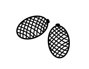 Buriti