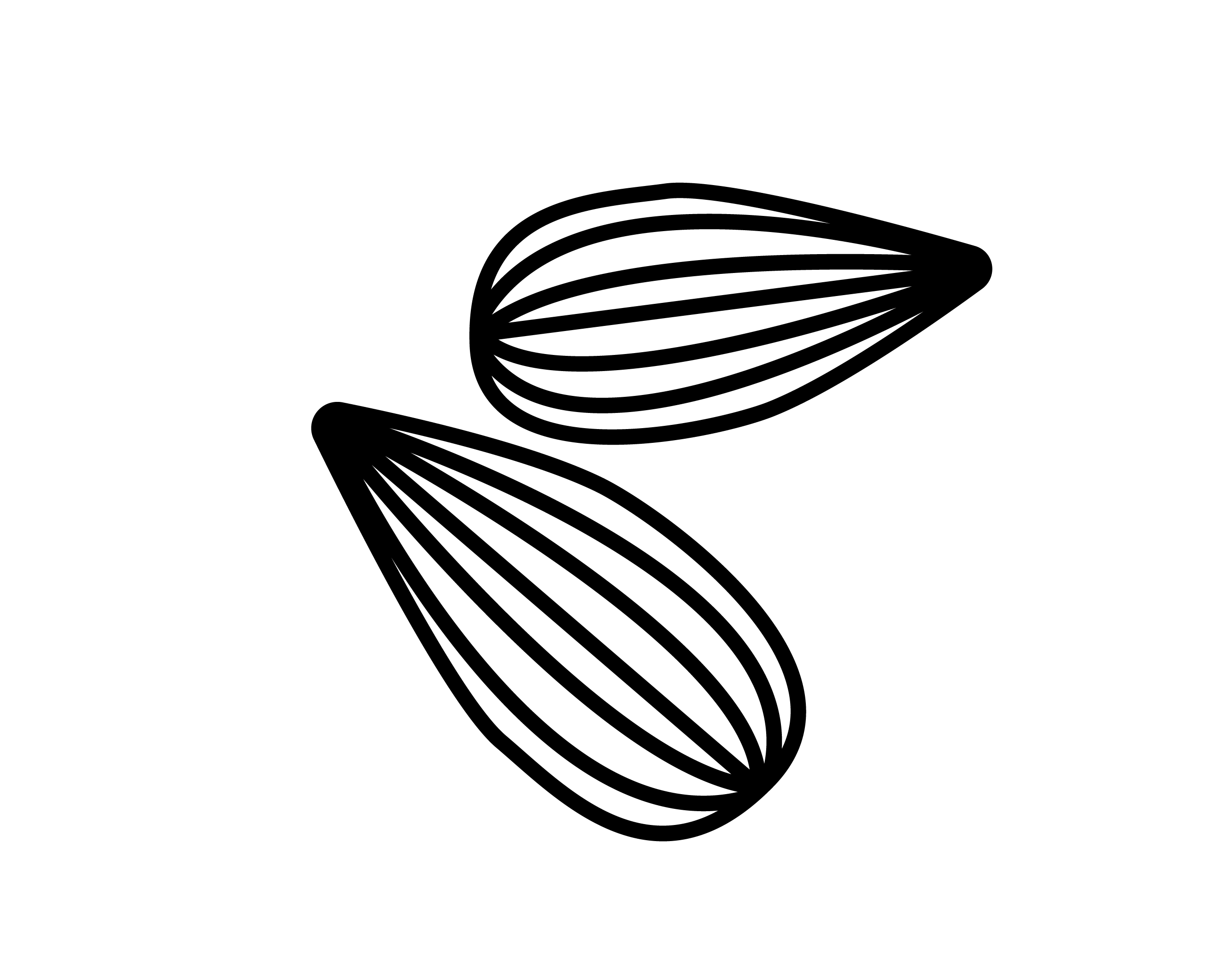 Murumuru