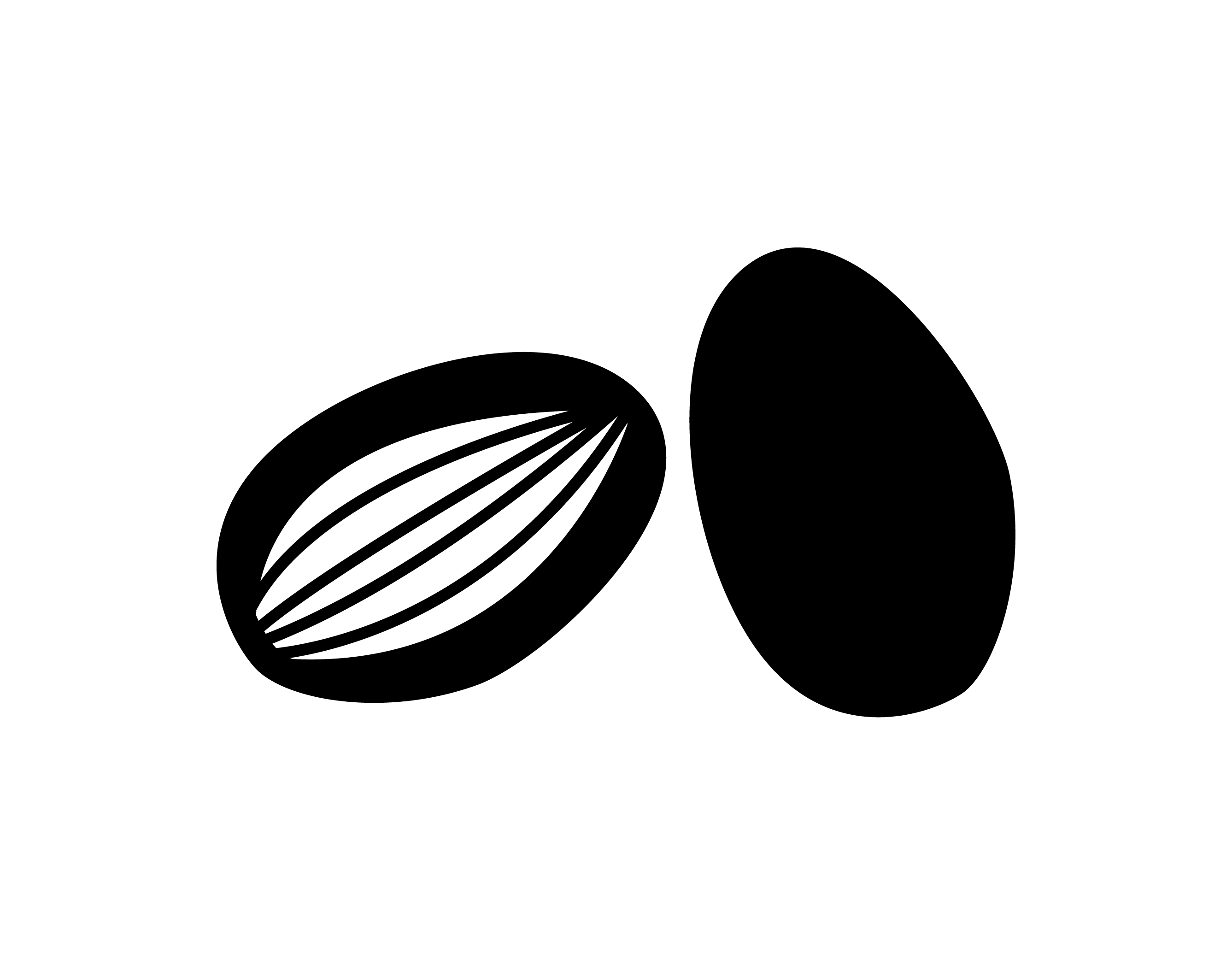 Patauá